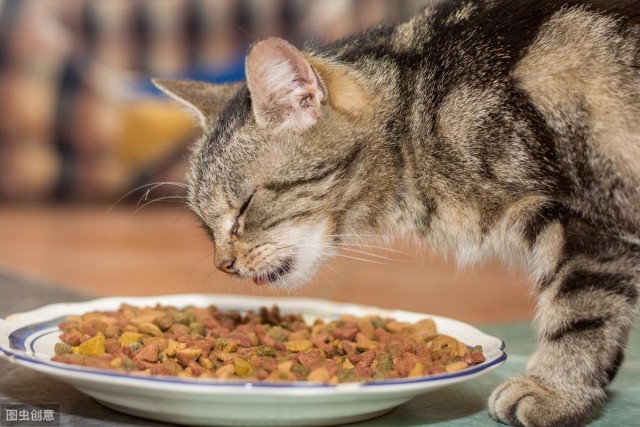 猫咪零食如何选择常见的9款猫咪零食看一下你的选择合适吗